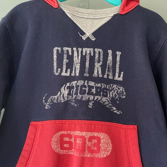 (2 for $25) GAP KIDS junior sweatshirt hoodie - Picture 4 of 8